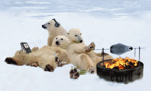 polar_bear_food